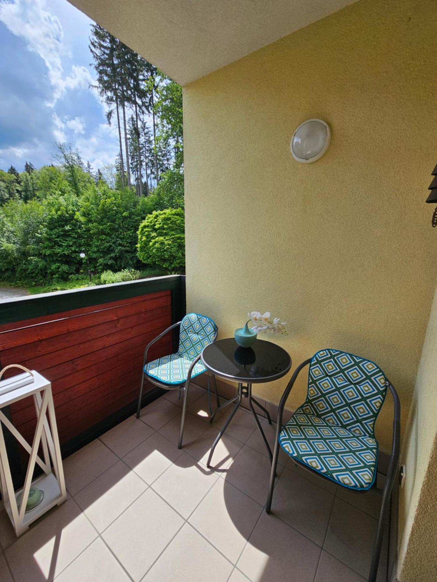 Apartament 16 - Blizej Zdroju Поляница-Здрой Екстериор снимка